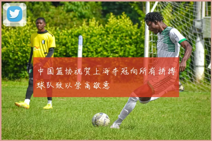 中国篮协祝贺上海夺冠向所有拼搏球队致以崇高敬意